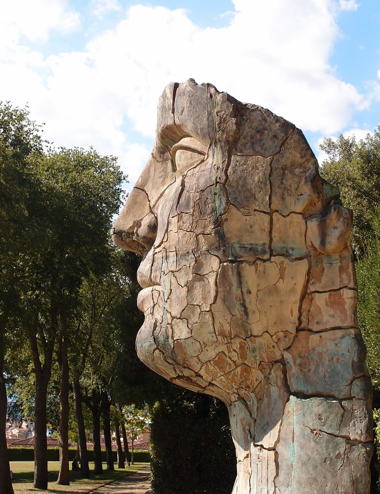 Photograph of a larger than life sculpture of the profile of a person's neck and face that ends at the hairline because that's where the rock ended. It's full of cracks and discoloration illustrating how imperfect art is still beautiful art