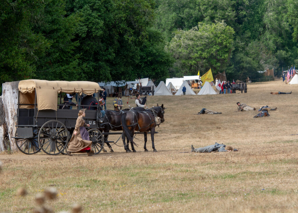 Photograph of Civil War Re-enactment shows a horse drawn  wagon, with a woman striding alongside the "ambulance" as it heads toward wounded men lying in a field.
