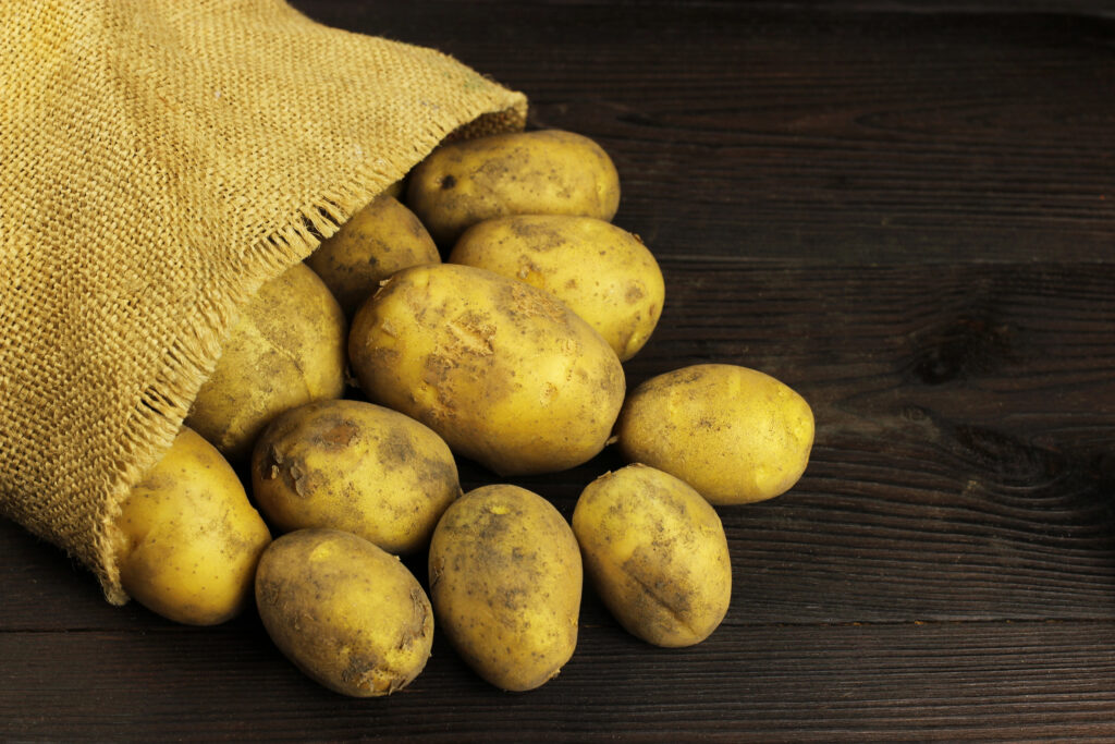Photograph of a sack of Idaho white potatoes spilled across a tabletop.