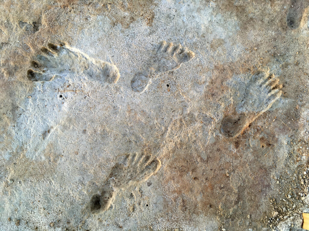 Photograph of human fossilized footprints as if two different people shoulder to shoulder, stood one facing north and the other facing west at White Sands National Park in New Mexico